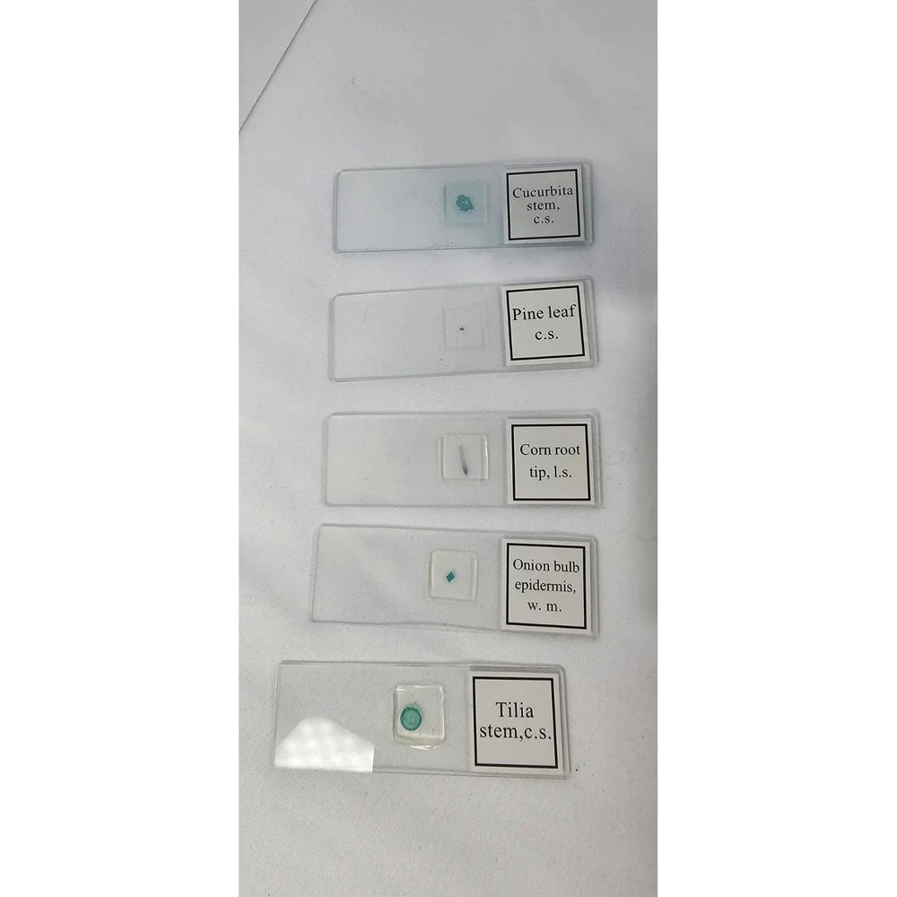 12 PCS/ 5 Prepared Microscope Slides Set Plant‎ Specimens + 7 Blank Glass Slides